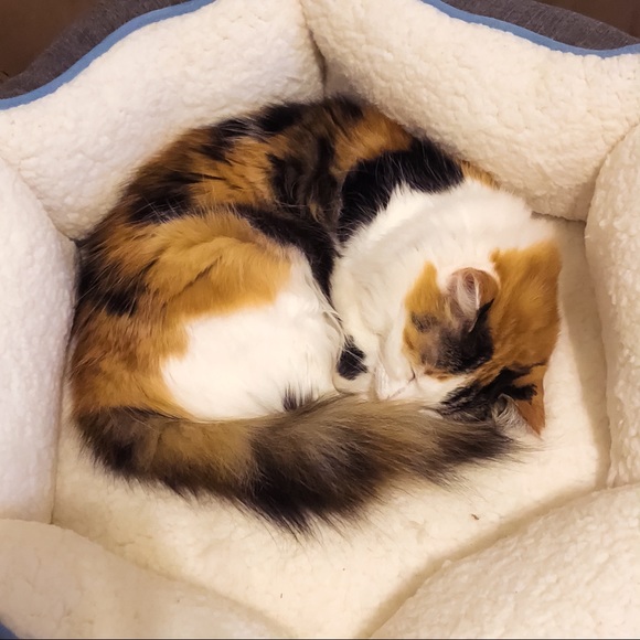 ON MATERNITY LEAVE - Picture 3 of 7